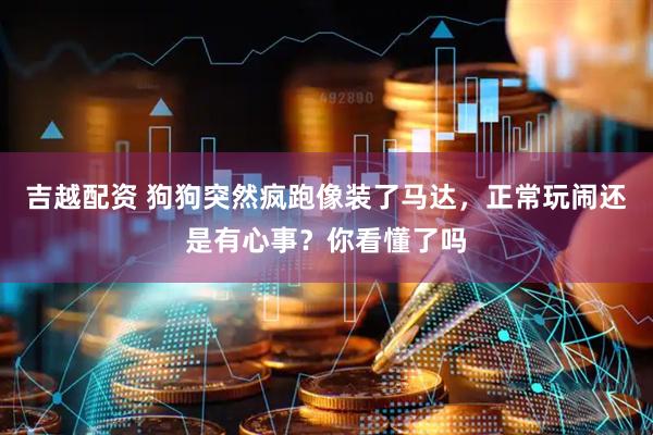 吉越配资 狗狗突然疯跑像装了马达，正常玩闹还是有心事？你看懂了吗