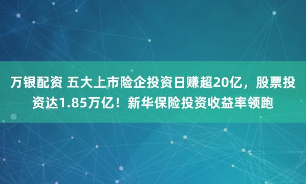 万银配资 五大上市险企投资日赚超20亿，股票投资达1.85万亿！新华保险投资收益率领跑