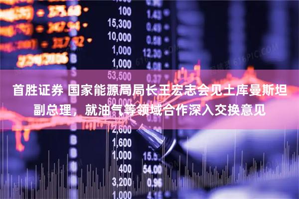 首胜证券 国家能源局局长王宏志会见土库曼斯坦副总理，就油气等领域合作深入交换意见
