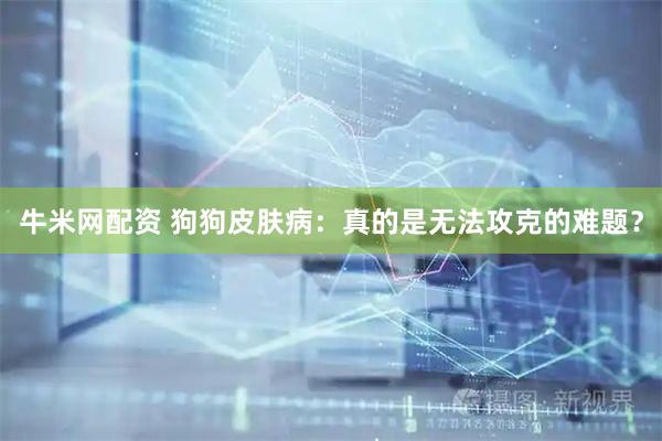 牛米网配资 狗狗皮肤病：真的是无法攻克的难题？