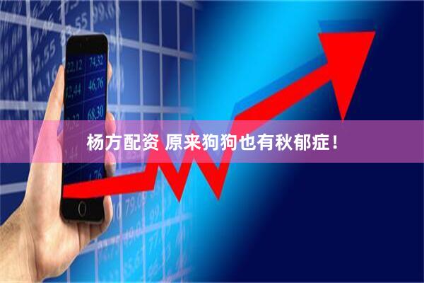 杨方配资 原来狗狗也有秋郁症！