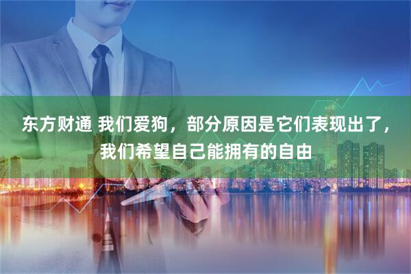 东方财通 我们爱狗，部分原因是它们表现出了，我们希望自己能拥有的自由