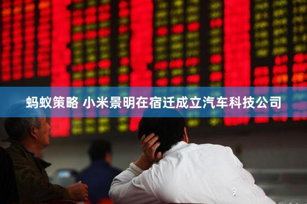 蚂蚁策略 小米景明在宿迁成立汽车科技公司