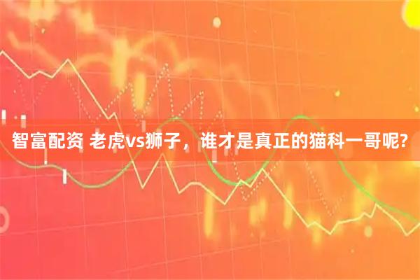 智富配资 老虎vs狮子，谁才是真正的猫科一哥呢?