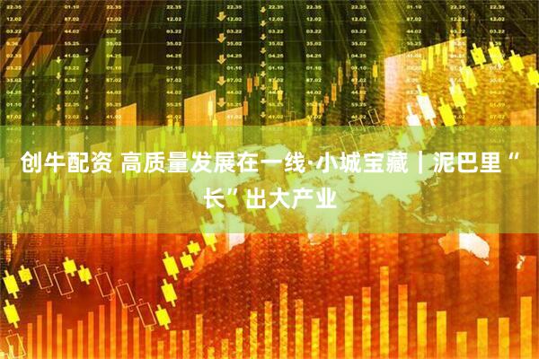 创牛配资 高质量发展在一线·小城宝藏｜泥巴里“长”出大产业